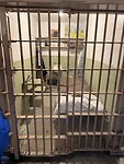 IMG_8666