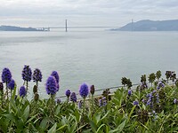 IMG_8680