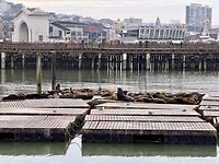 IMG_8688
