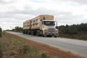Roadtrain