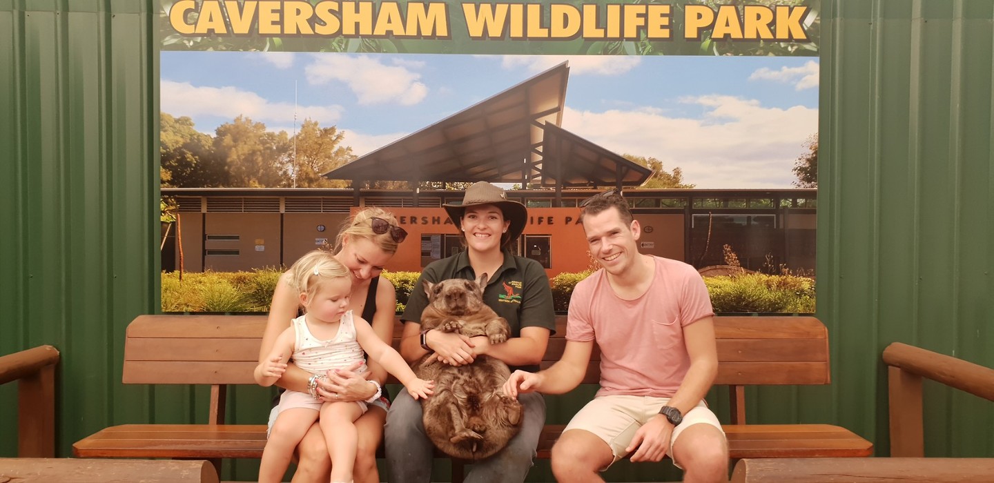 Wombat