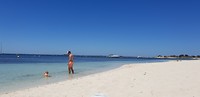 Rottnest