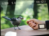 IMG_0215