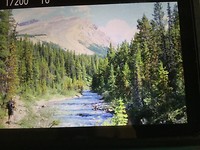 IMG_0234