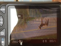 IMG_0246