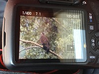 IMG_0248