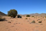 Lunch in the desert