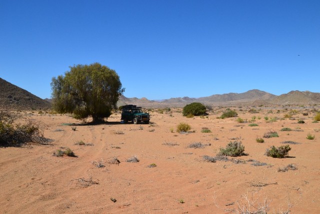 Lunch in the desert