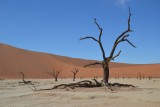 Dead Vlei