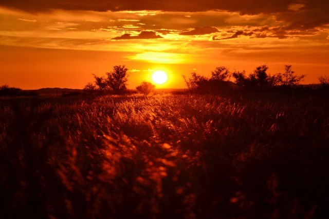 Sunset part I
