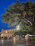 Verona