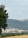 Assisi