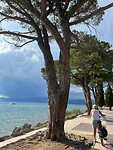Langs de boulevard naar Lazise