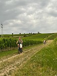 Dwars door de wijnvelden terug fietsen.