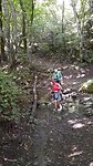 Walking on water