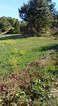 VID-20200911-WA0004
