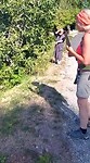 Verse vijgen