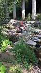 VID-20200914-WA0013