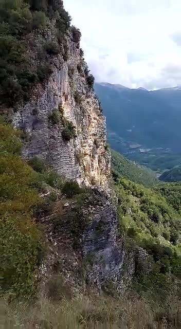 Bergenpracht