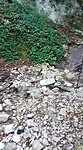 VID-20200922-WA0079