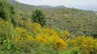 Desert de Agriate