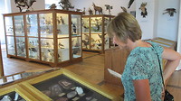 Natuur historisch museum, klooster van Admont