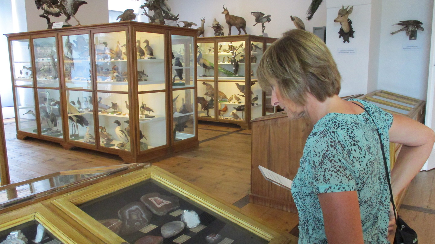 Natuur historisch museum, klooster van Admont