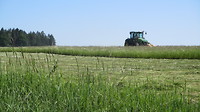 Grasmaaiende boeren