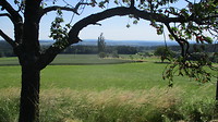 Weilanden