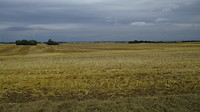 Dreigend