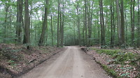 Strasburg