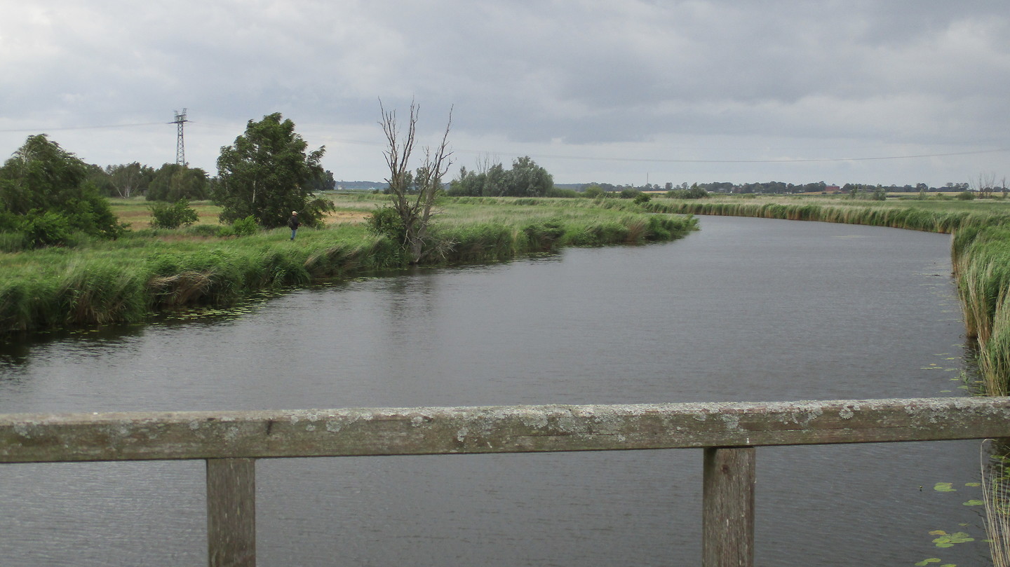 Peene
