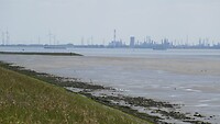 P1040305