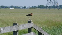 P1050176