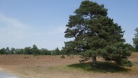 P1050244