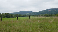 Moezeldal