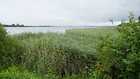 Lac de Madine