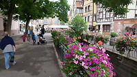 Colmar