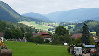 Dal