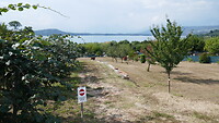 Lago Viverone