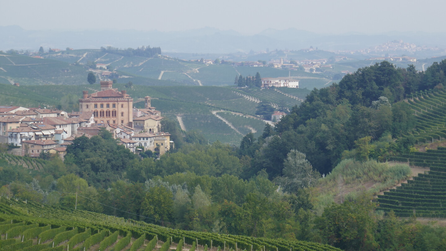 Barolo