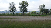 Landschap