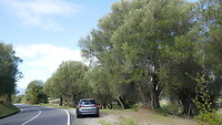 Mooie route door NP