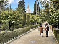 Tuin Alcázar