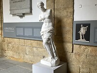 Venus van Milo; stond bij ouders Jan op de TV