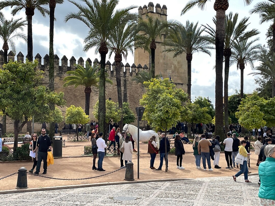 Alcazar gaan we morgen heen
