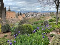Generalife