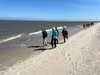 Strandwandeling