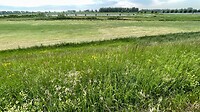 Onderweg