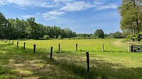 Mooi